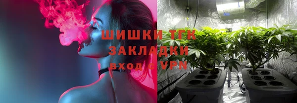 мдпв Горно-Алтайск
