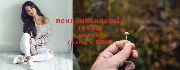 гидропоника Горнозаводск
