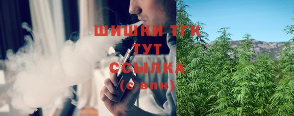 гидропоника Горнозаводск
